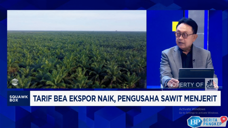 video-aturan-cepat-berubah-dan-produksi-mandek-ancam-industri-sawit-ri