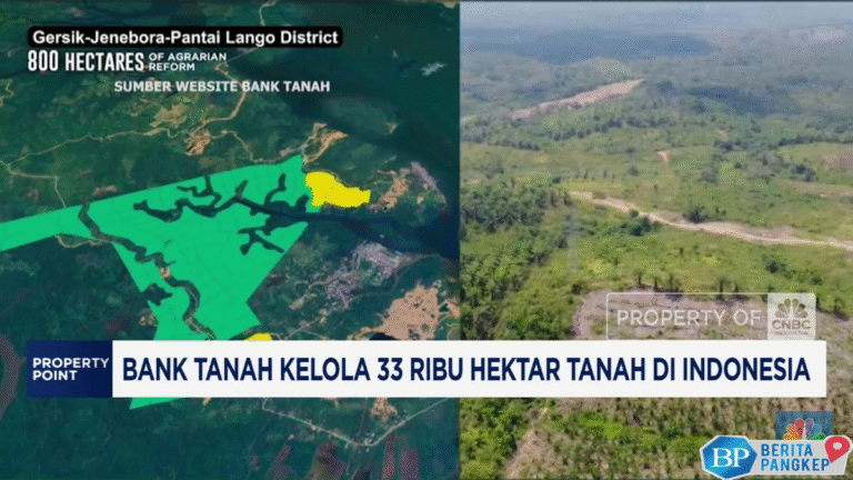 video-bank-tanah-kelola-33000-hektar-tanah-di-indonesia