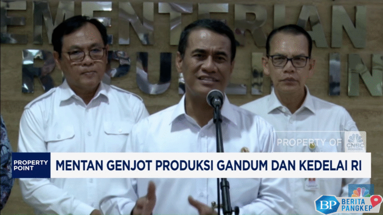 video-jurus-mentan-genjot-produksi-gandum-dan-kedelai-ri