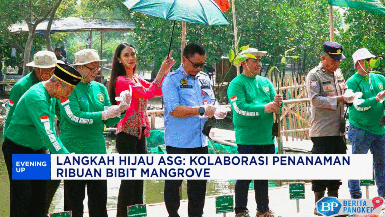 video-langkah-hijau-asg-kolaborasi-penanaman-ribuan-bibit-mangrove