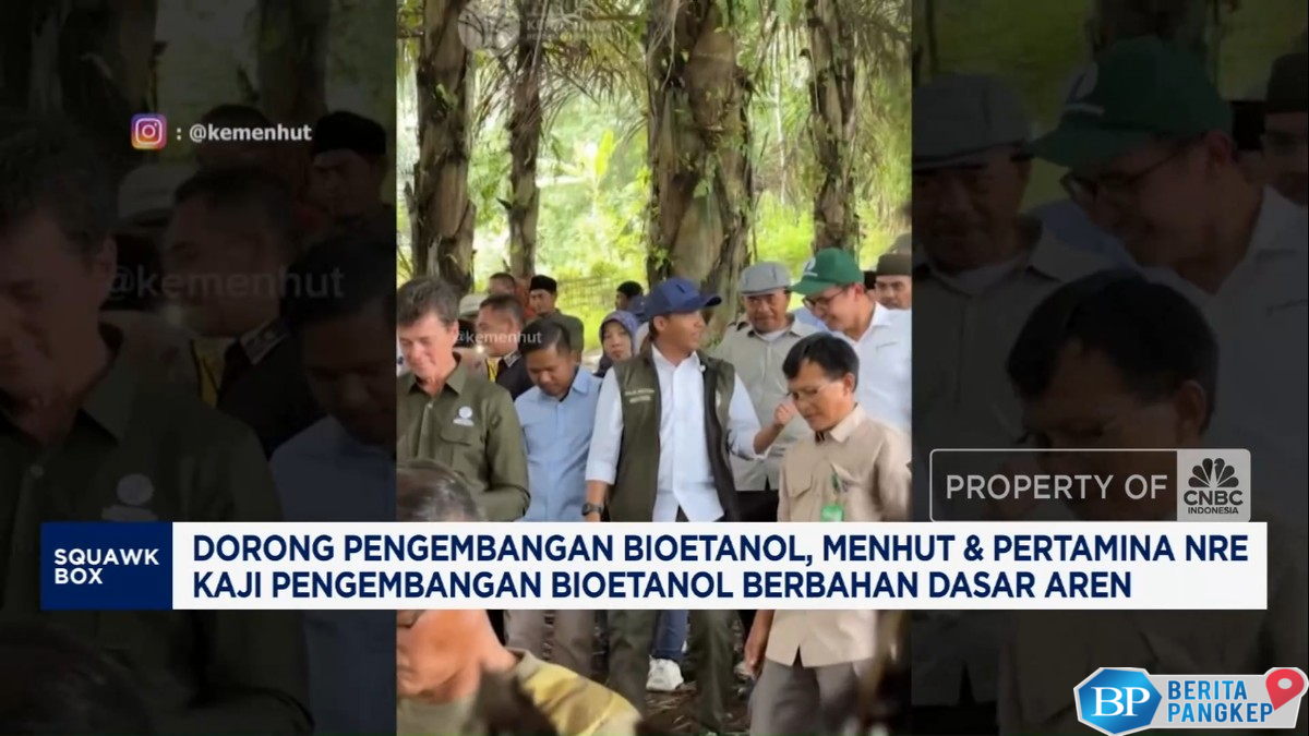 video-menhut-dan-pertamina-nre-kaji-bioetanol-berbahan-aren