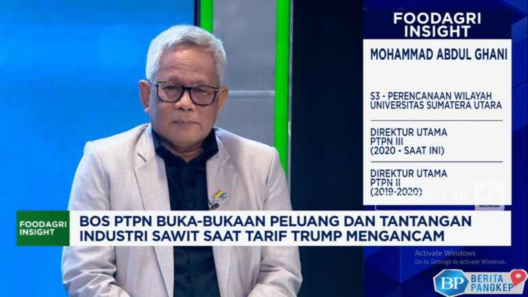 video-produksi-sawit-ri-bisa-100-juta-ton-bos-ptpn-ungkap-syaratnya