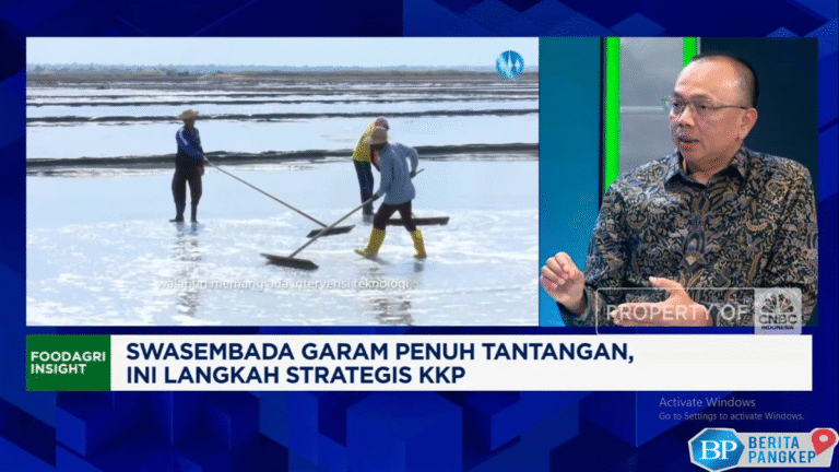 video-setop-impor-demi-swasembada-garam-petani-bisa-ikut-sejahtera