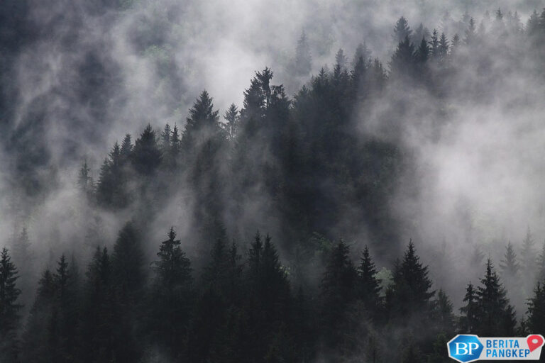 wamen-diaz-gaungkan-isu-loss-and-damage-di-pertemuan-brics