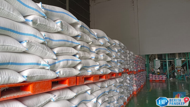 wamentan-ramal-ri-lagi-surplus-beras-gila-gilaan-tanda-tandanya-ini