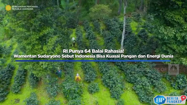 wamentan-sudaryono-sebut-indonesia-bisa-kuasai-pangan-dan-energi-dunia