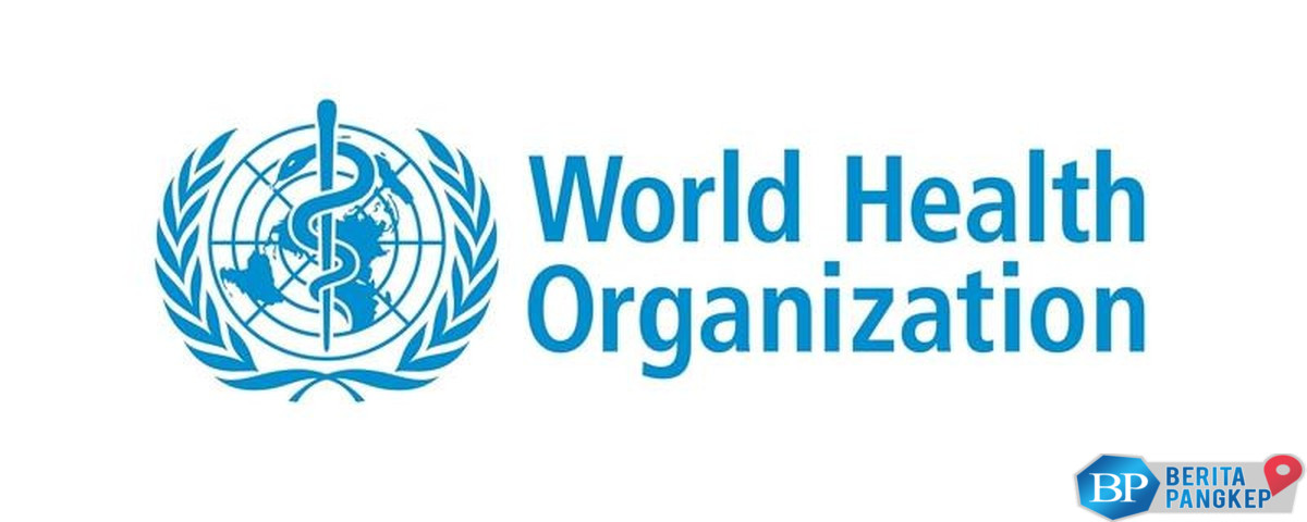 who-larang-pakai-asbes-untuk-atap-rumah-dampaknya-ngeri