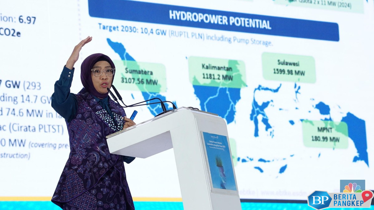 wow-ri-punya-potensi-garap-14-gw-plts-terapung