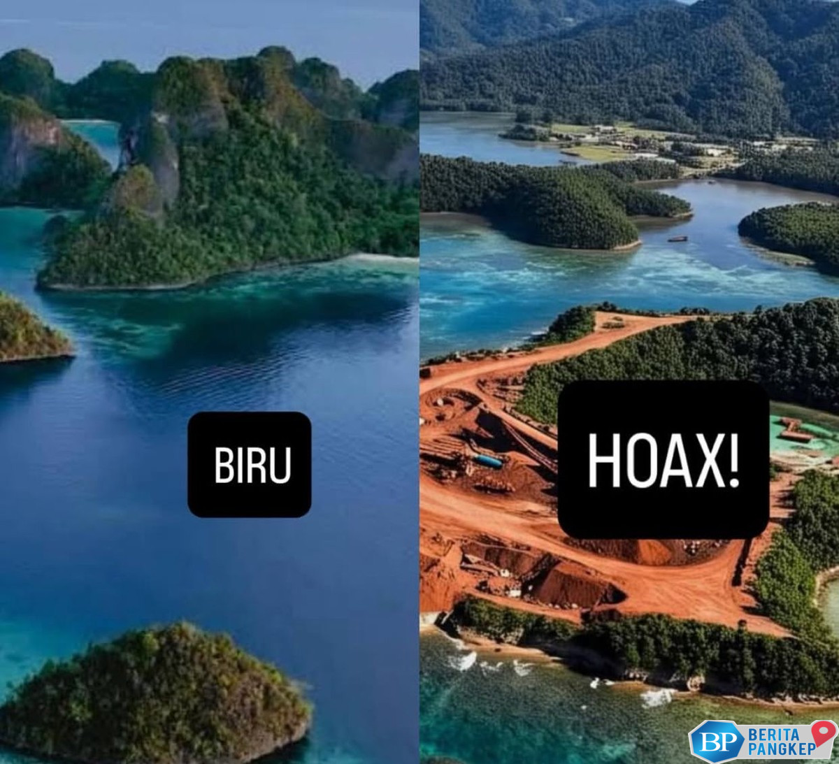 apni-buka-suara-soal-pencabutan-iup-4-perusahaan-tambang-di-raja-ampat