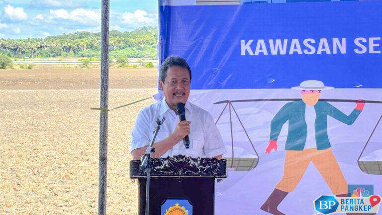 bangun-tambak-garam-raksasa-di-rote-ndao-trenggono-siapkan-rp-2-t