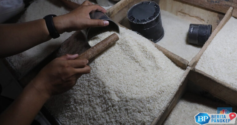 bps-istana-kasih-warning-gara-gara-harga-beras-belum-terkendali