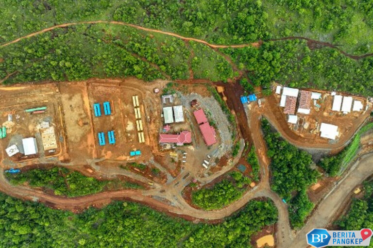 donat-hijau-dalam-ekonomi-yang-kompleks