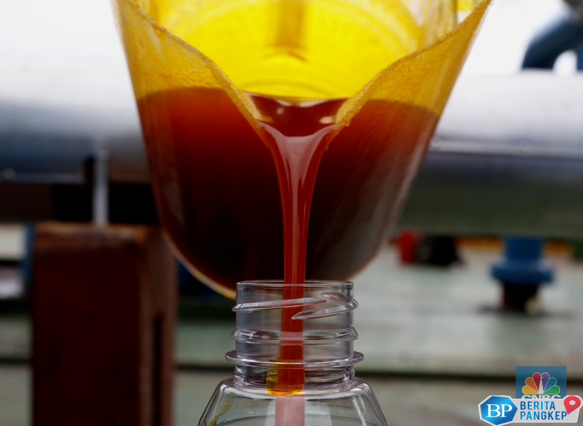 ekspor-minyak-sawit-ri-diprediksi-anjlok-15-juta-ton-ini-penyebabnya