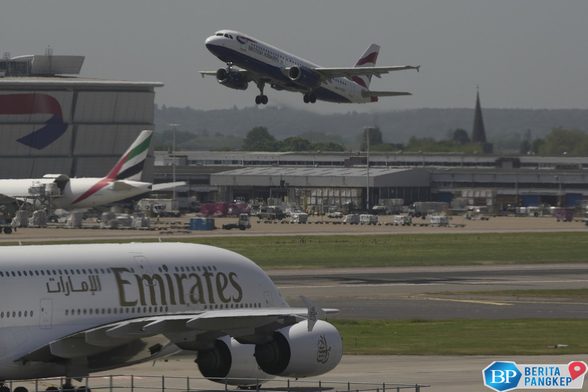 geger-puluhan-ular-berbisa-masuk-pesawat-sebut-sebut-indonesia