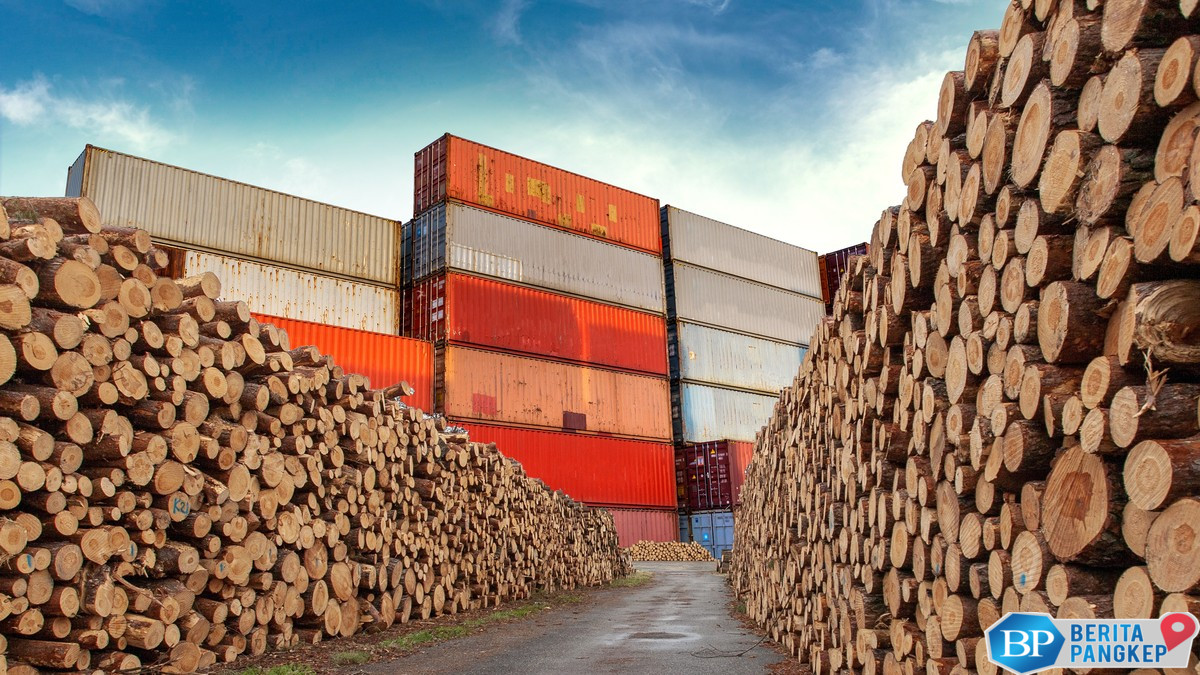 impor-kayu-log-peti-masuk-paket-deregulasi-apa-alasan-pemerintah