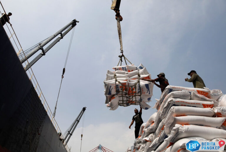 jepang-krisis-beras-ri-fokus-dulu-bantuan-ekspor-beras-ke-palestina