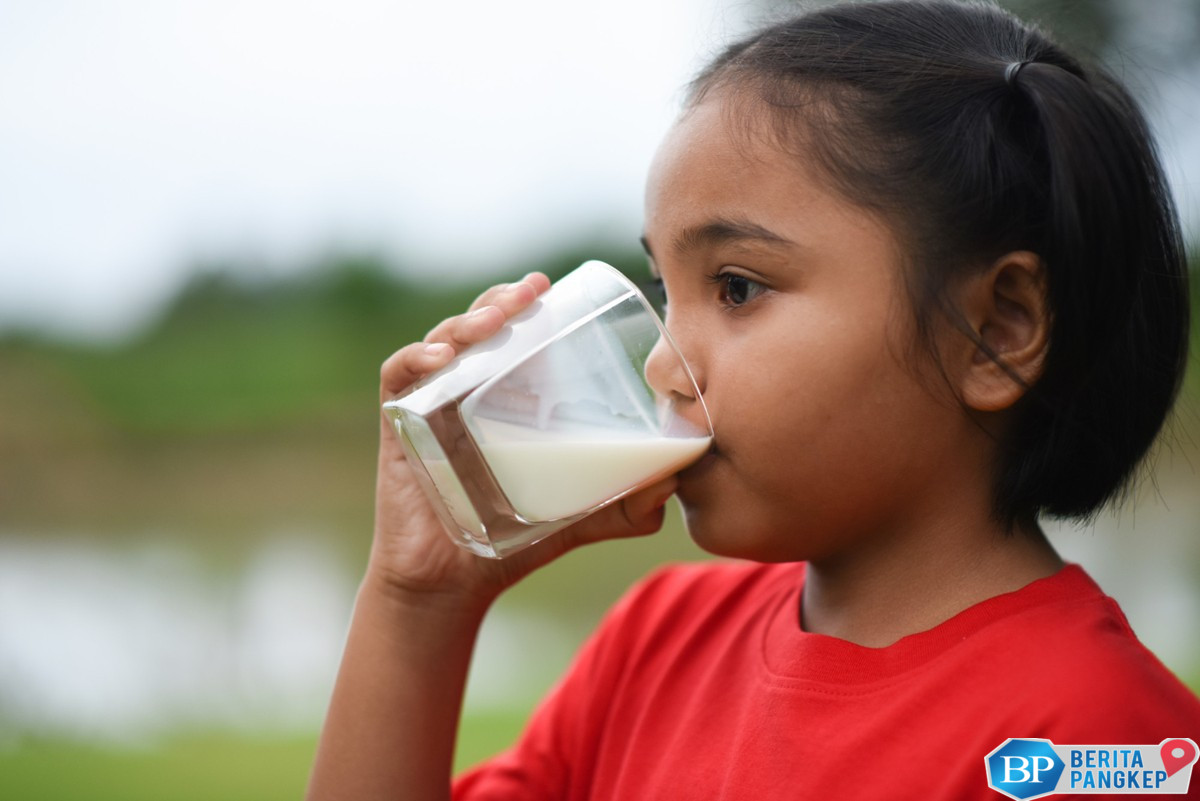 kadar-nasionalisme-dalam-segelas-susu-pertumbuhan