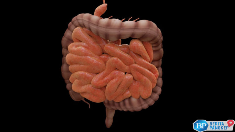 kanker-kolorektal-intai-gen-z-dan-milenial-kenali-gejala-dan-penyebabnya