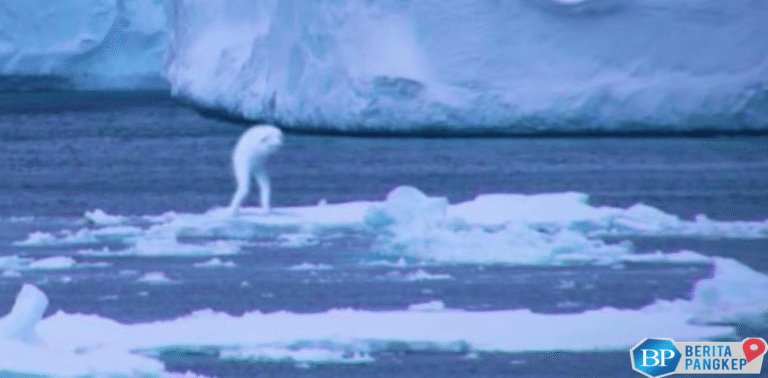 makhluk-mirip-manusia-mendadak-muncul-di-antartika-begini-wujudnya