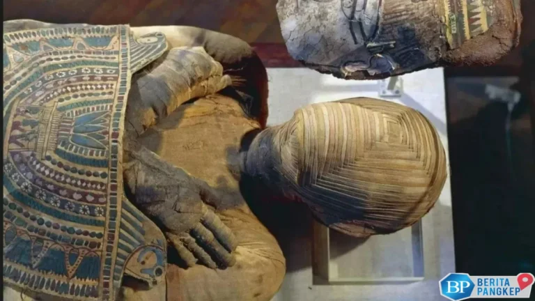 misteri-mumi-bashiri-berusia-2300-tahun-arkeolog-tak-berani-bongkar