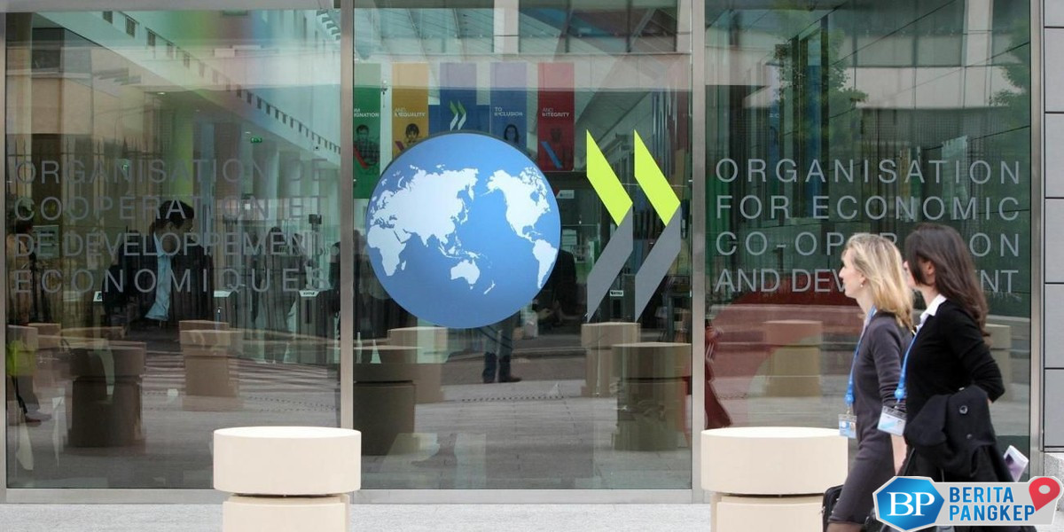 oecd-soroti-program-kesayangan-prabowo-danantara-dan-mbg