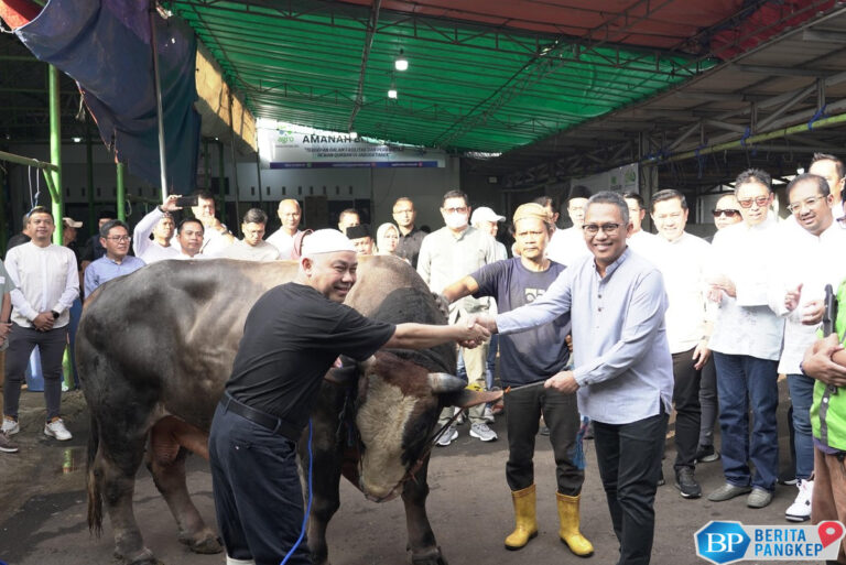 pegadaian-salurkan-ratusan-hewan-kurban-bagi-masyarakat