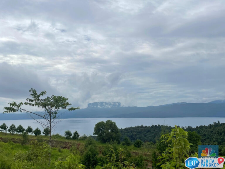 perusahaan-tambang-ri-ini-sukses-produksi-nikel-dari-energi-bersih
