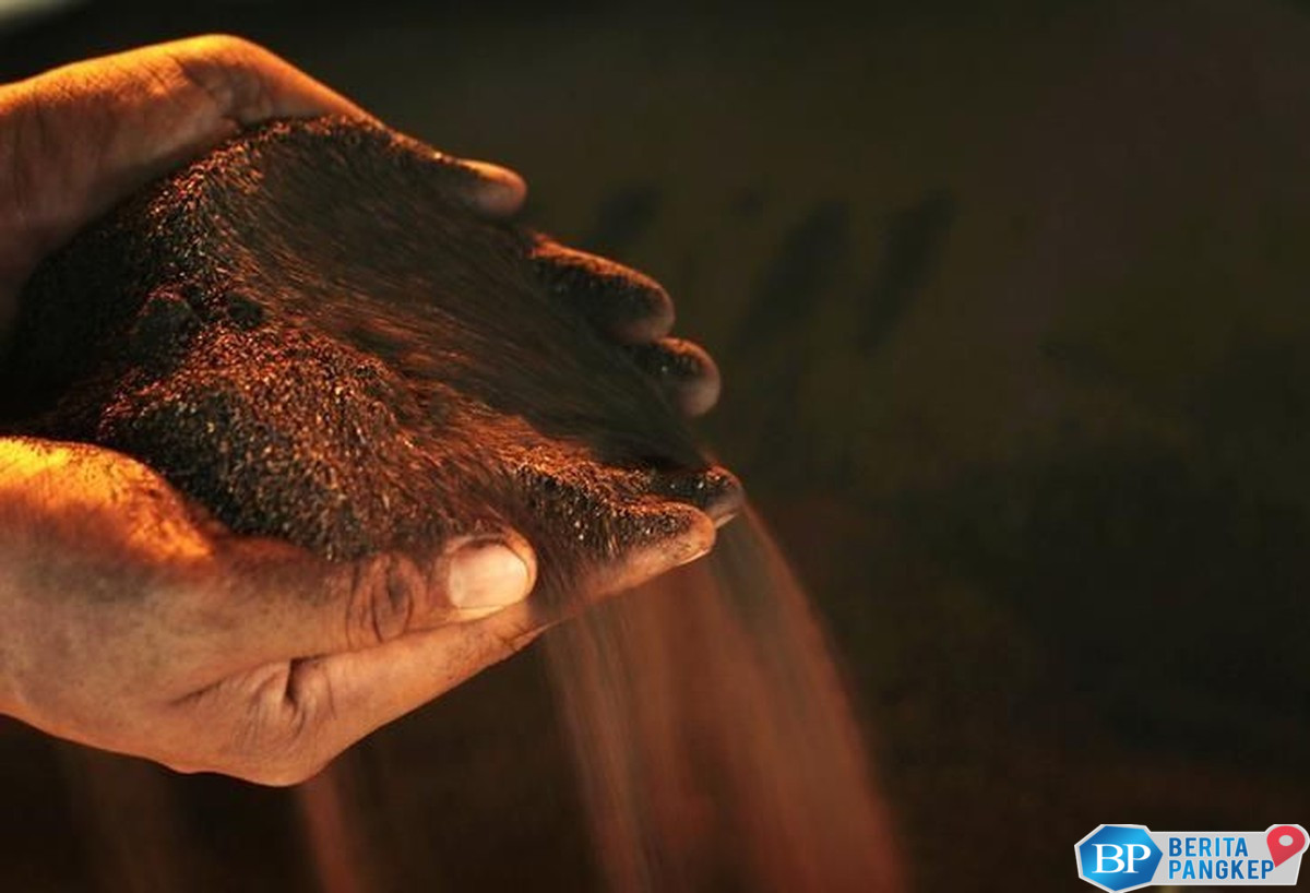 punya-harta-karun-melimpah-tapi-maluku-utara-masih-tertinggal