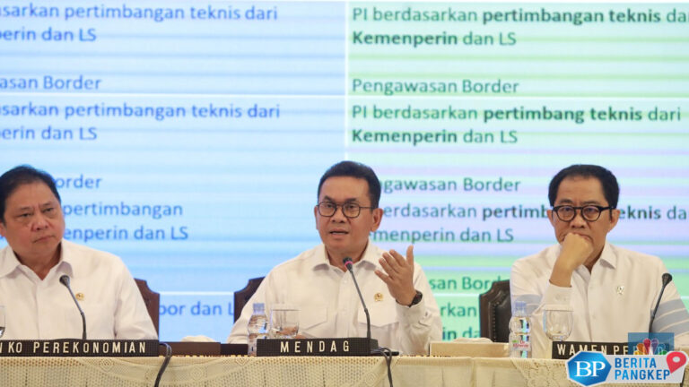 sempat-muncul-wacana-relaksasi-svlk-ekspor-produk-kayu-ini-updatenya