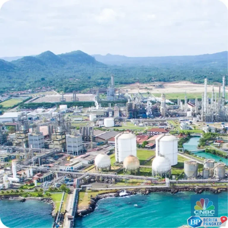 siap-siap-borong-ini-bocoran-siapa-mau-ipo-jumbo-di-juni