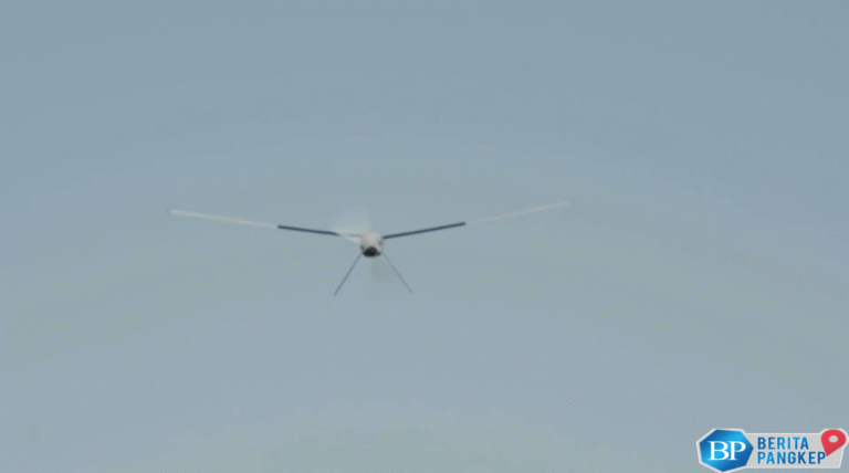 startup-tak-terkenal-mendadak-jadi-nomor-1-dihargai-rp-496-triliun