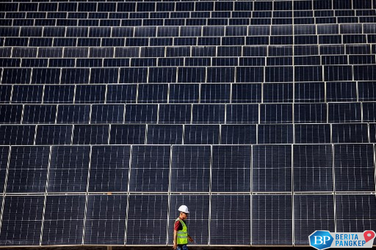tak-cuma-ekspor-listrik-kepri-bakal-jadi-lokasi-industri-panel-surya