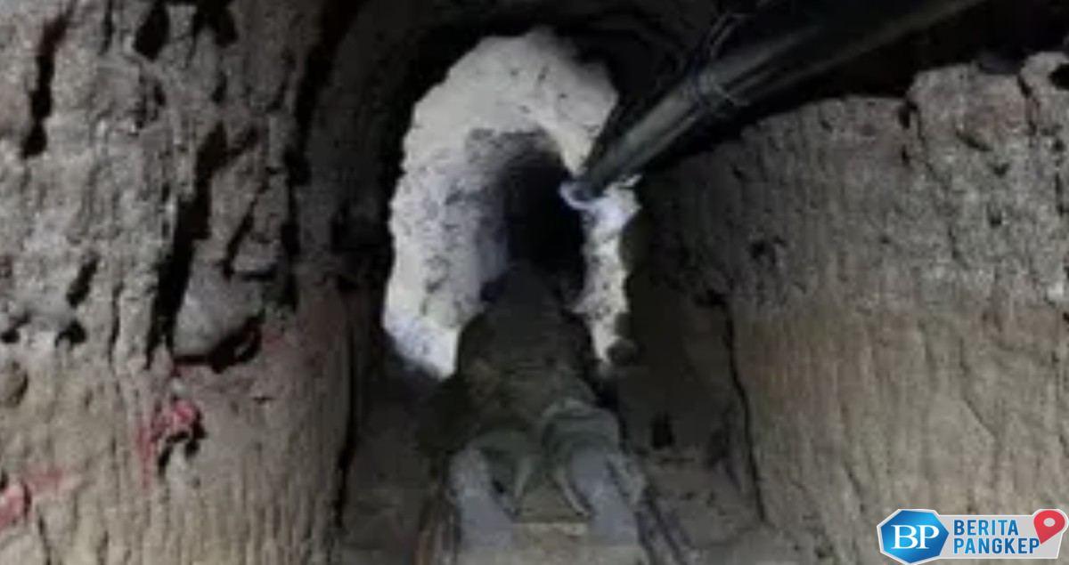 terungkap-terowongan-rahasia-penghubung-as-meksiko-jarang-orang-tahu