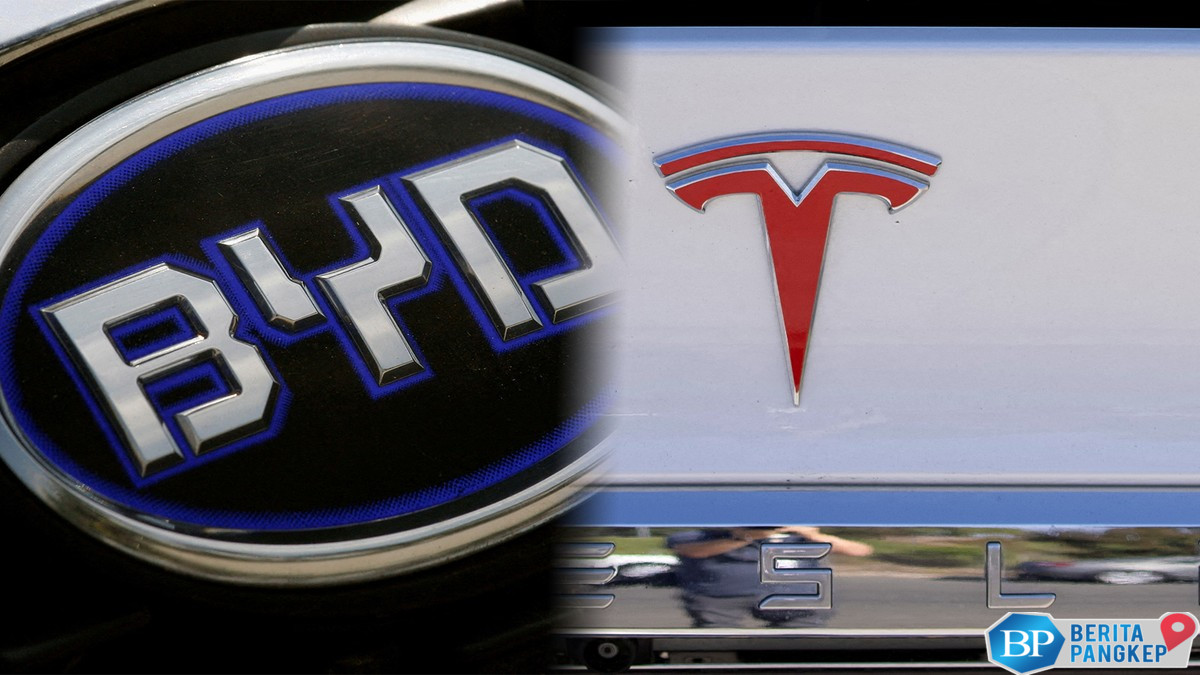 tesla-hancur-lebur-raksasa-china-ramai-ramai-bantai-elon-musk