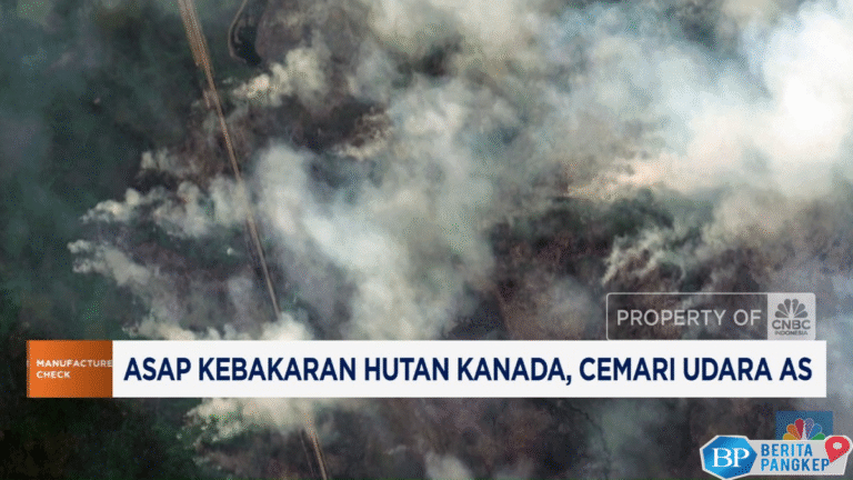 video-asap-kebakaran-hutan-kanada-cemari-udara-as