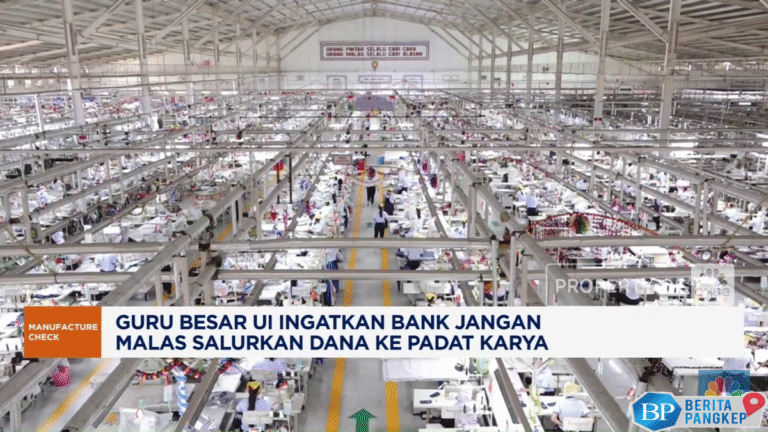 video-ekonom-ingatkan-bank-jangan-malas-salurkan-dana-ke-padat-karya