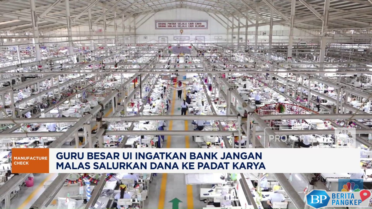 video-ekonom-ingatkan-bank-jangan-malas-salurkan-dana-ke-padat-karya