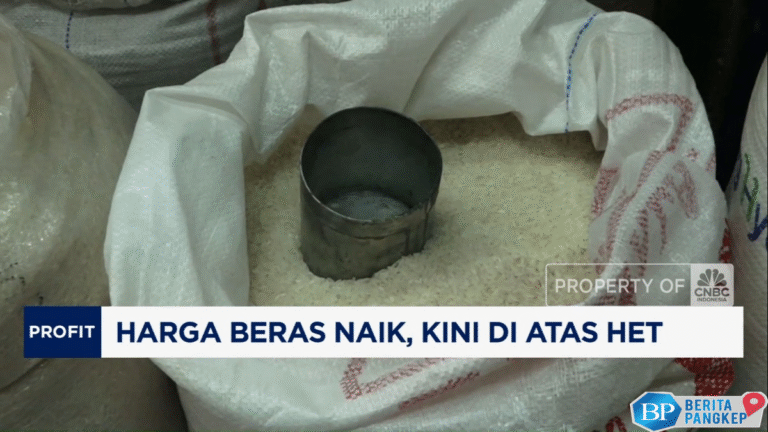 video-harga-beras-naik-kini-di-atas-het