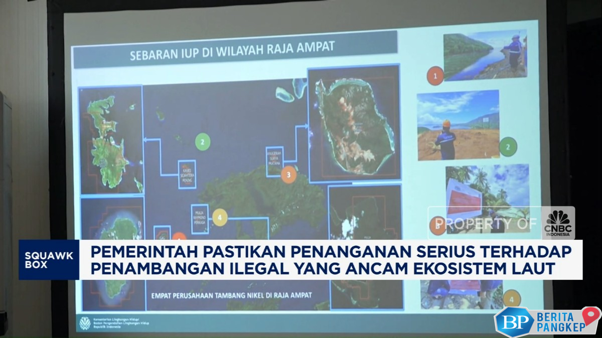video-pemerintah-jamin-tangani-serius-penambangan-ilegal-raja-ampat