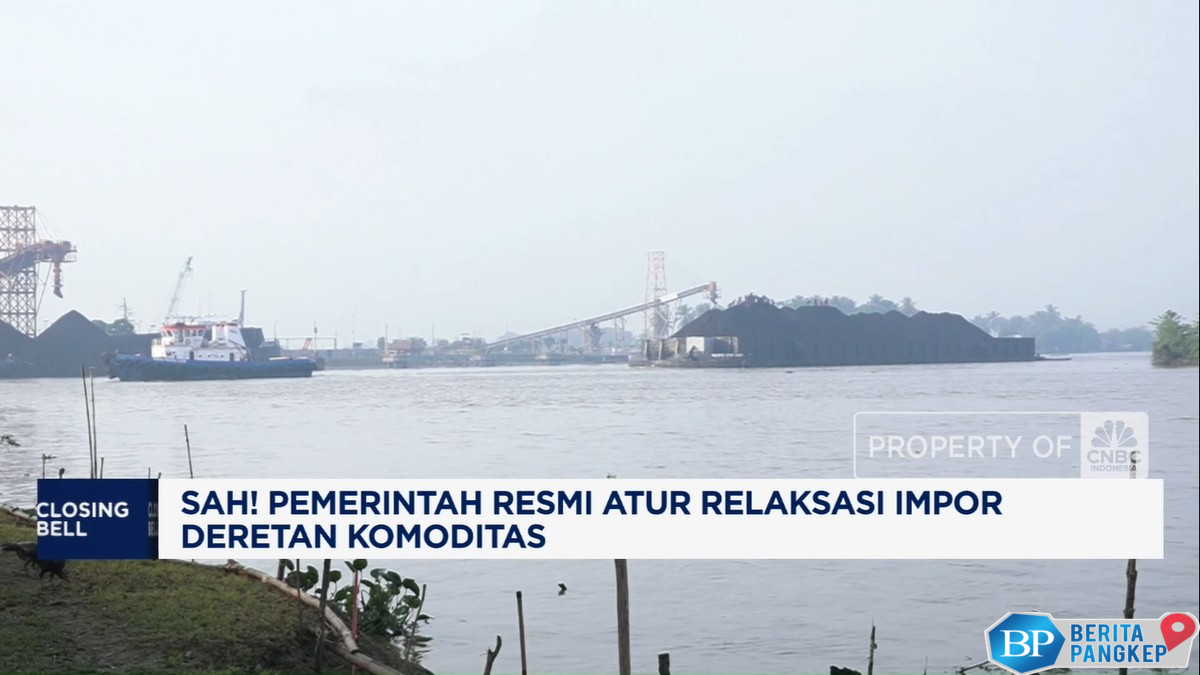 video-sah-pemerintah-resmi-atur-relaksasi-impor-deretan-komoditas