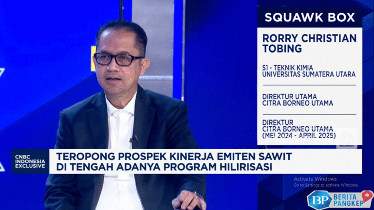 video-tambah-ekspor-dan-produksi-migor-kemasan-bisnis-sawit-cbut-naik