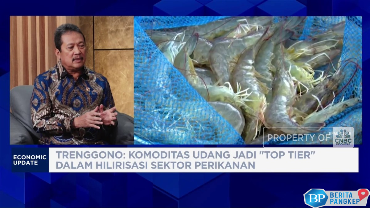 video-trenggono-genjot-produksi-udang-untuk-hilirisasi-berkelanjutan
