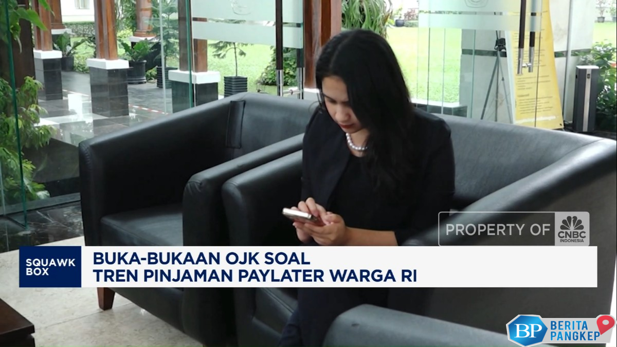 video-warga-ri-doyan-pakai-paylater-outstanding-pinjaman-rp-295-t