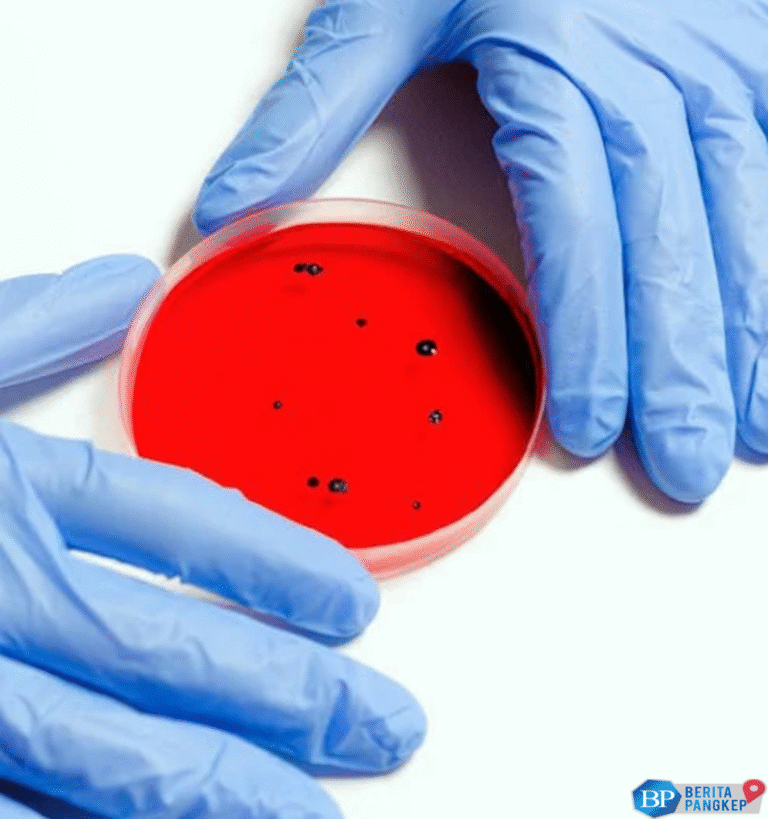 virus-hanta-terkonfirmasi-ada-di-ri-kenali-gejalanya