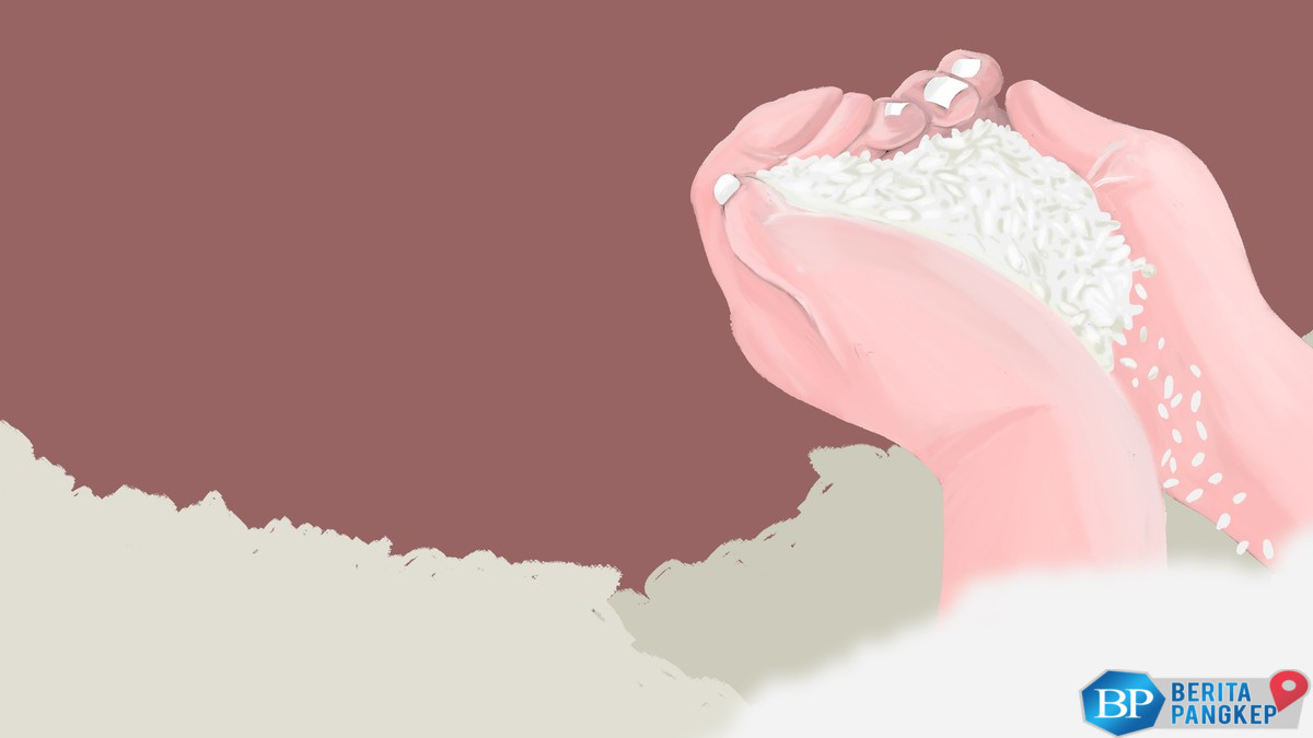 10-beras-premium-termahal-dunia-harganya-jutaan-rupiah