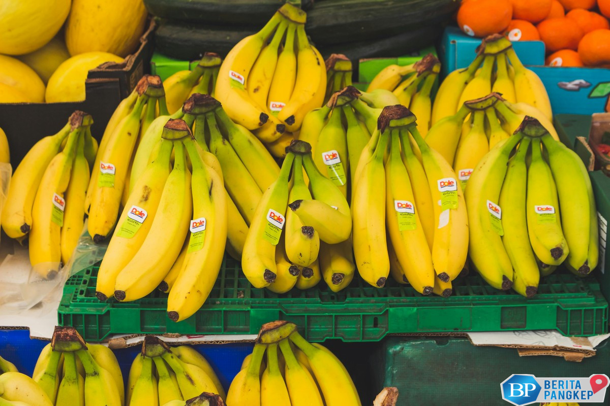 7-negara-penghasil-pisang-terbesar-di-dunia-ri-nomor-berapa