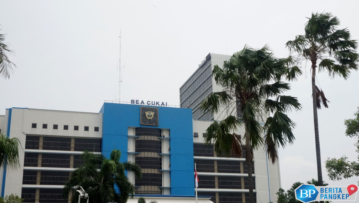 ahli-ungkap-urgensi-transformasi-digital-kepabeanan-dan-cukai