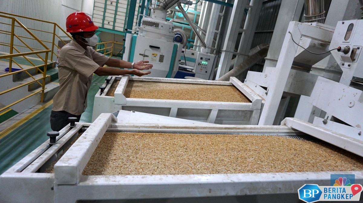 bukan-rp-6500kg-bulog-beli-gabah-petani-harganya-tembus-segini