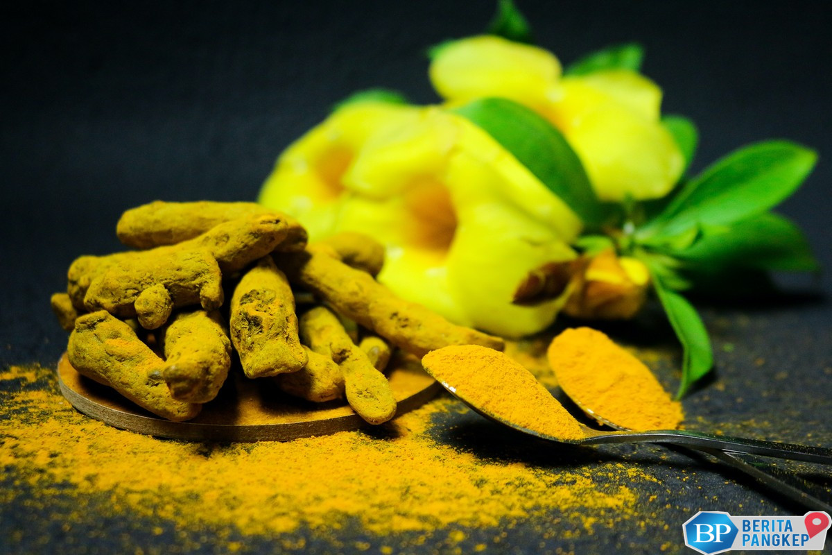 daftar-negara-pengekspor-kunyit-terbesar-di-dunia-ri-ke-berapa