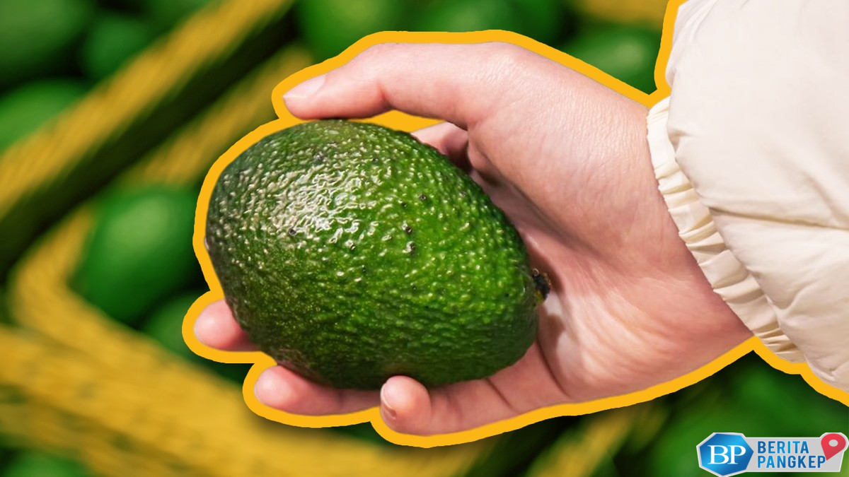 daftar-negara-penghasil-alpukat-terbesar-di-dunia